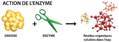 BIONET PE – BIO NETTOYANT   SYNERGISÉ pour les NETTOYAGES  DE PIÈCES MÉCANIQUES  en FONTAINE DE LAVAGE BIOLOGIQUE à USAGES PROFESSIONNEL